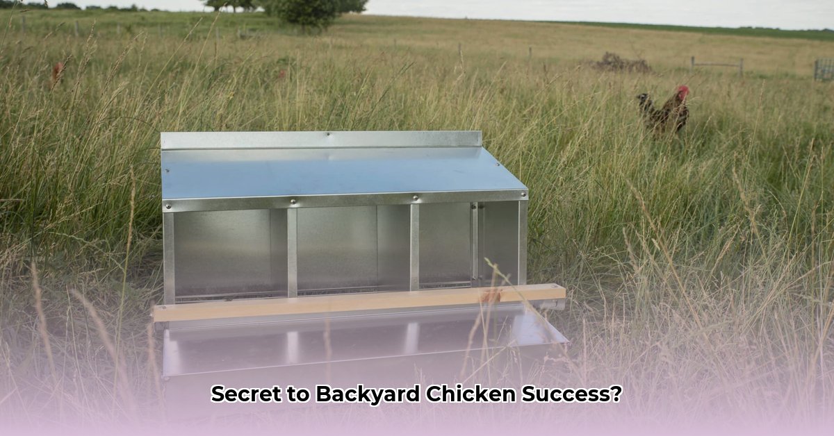 nesting-boxes-tractor-supply